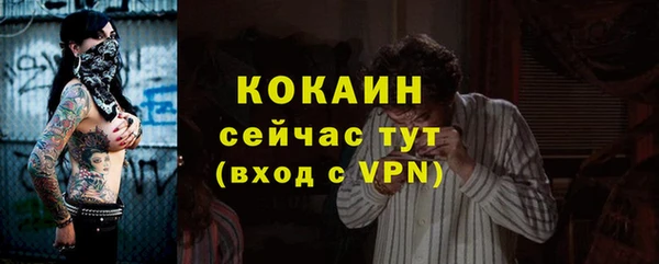 твердый Аркадак