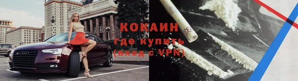 твердый Аркадак
