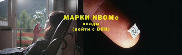 твердый Аркадак