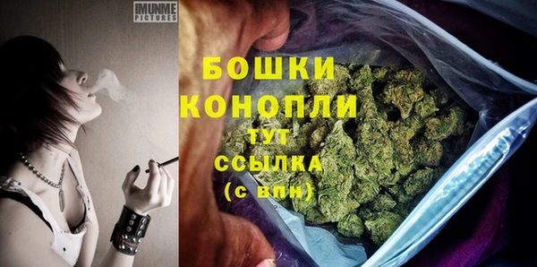 твердый Аркадак