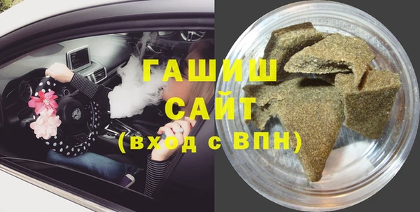индика Осинники